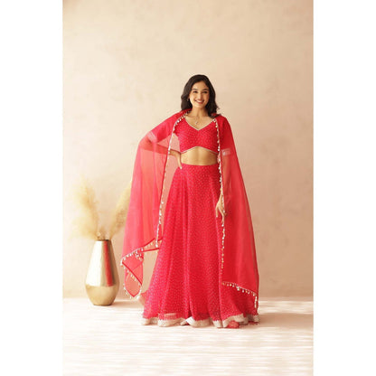 DEASHA INDIA Vamika Pink Bandhej Lehenga with Blouse and Dupatta (Set of 3)