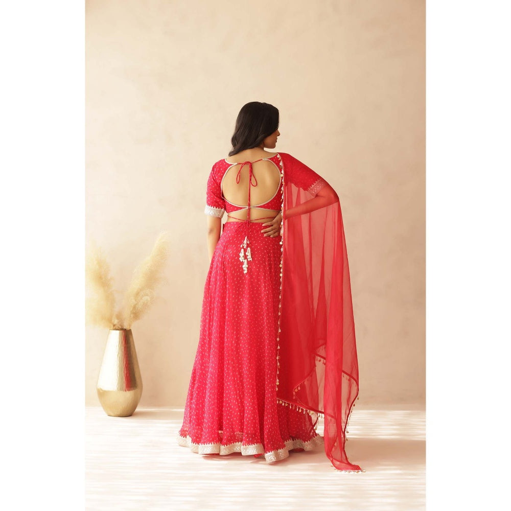 DEASHA INDIA Vamika Pink Bandhej Lehenga with Blouse and Dupatta (Set of 3)