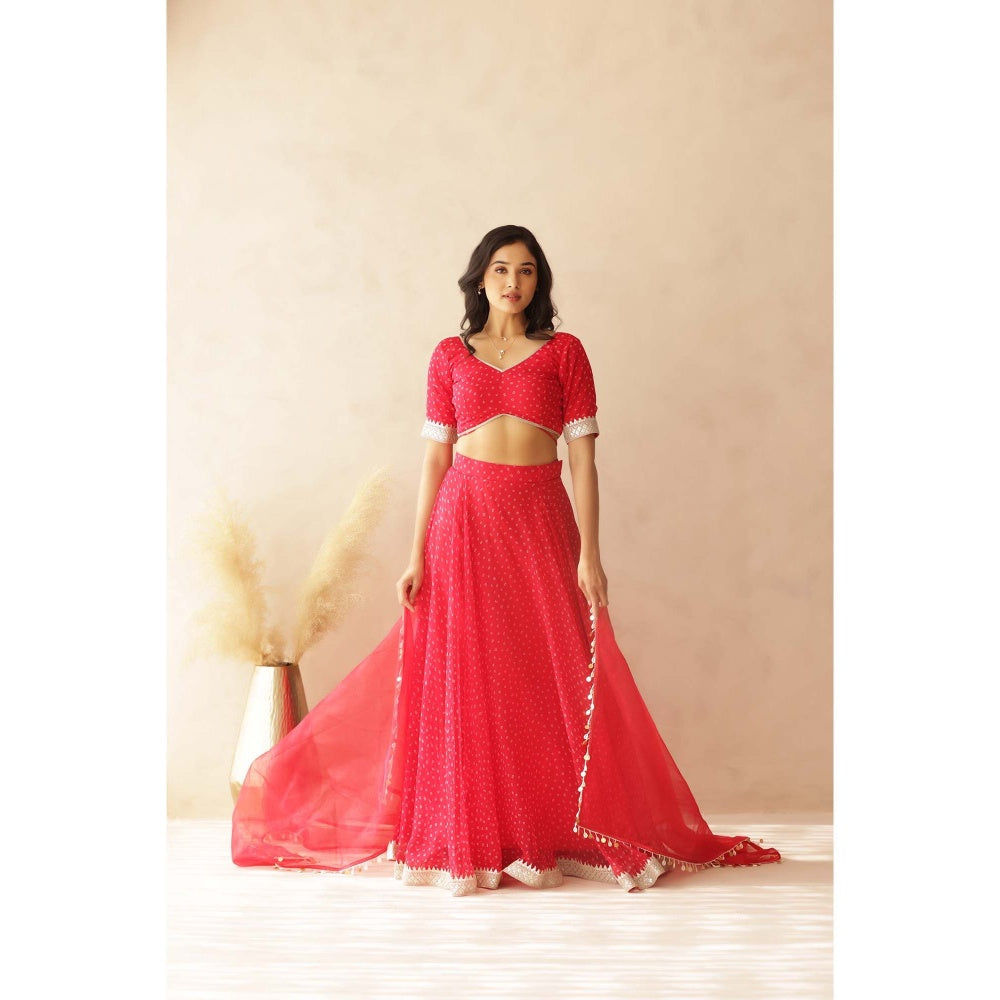 DEASHA INDIA Vamika Pink Bandhej Lehenga with Blouse and Dupatta (Set of 3)