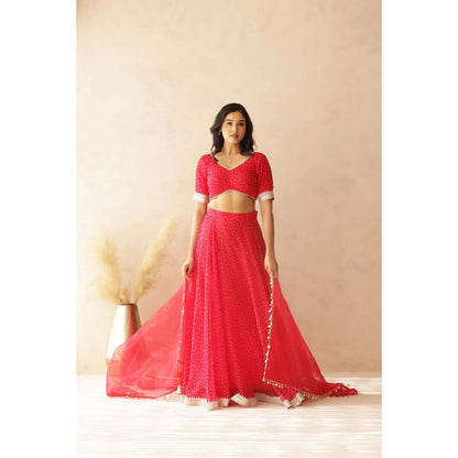 DEASHA INDIA Vamika Pink Bandhej Lehenga with Blouse and Dupatta (Set of 3)