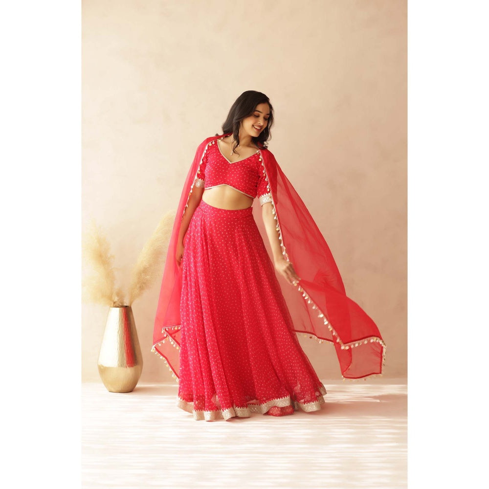 DEASHA INDIA Vamika Pink Bandhej Lehenga with Blouse and Dupatta (Set of 3)