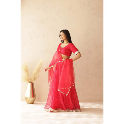DEASHA INDIA Vamika Pink Bandhej Lehenga with Blouse and Dupatta (Set of 3)
