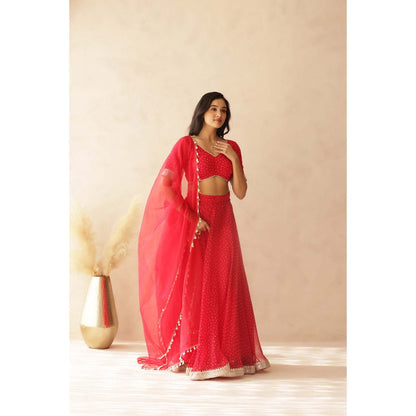 DEASHA INDIA Vamika Pink Bandhej Lehenga with Blouse and Dupatta (Set of 3)