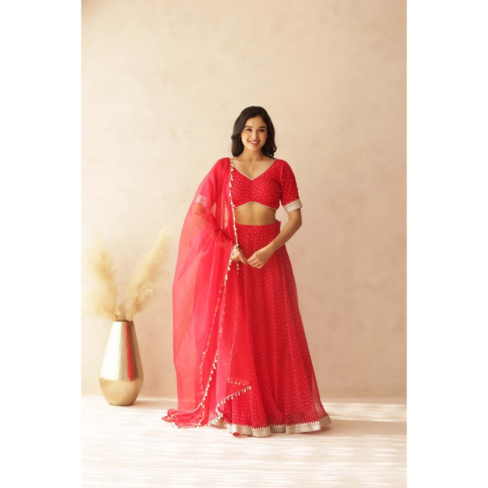DEASHA INDIA Vamika Pink Bandhej Lehenga with Blouse and Dupatta (Set of 3)