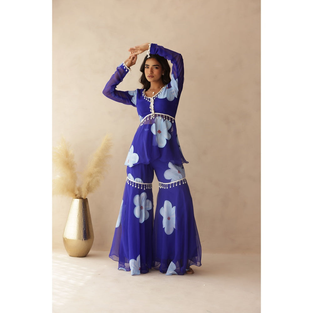 DEASHA INDIA Rahini Blue Hand Painted Co-Ord (Set of 2)