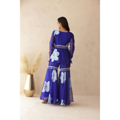 DEASHA INDIA Rahini Blue Hand Painted Co-Ord (Set of 2)