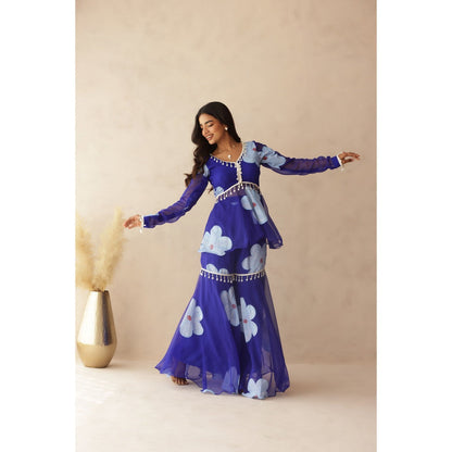 DEASHA INDIA Rahini Blue Hand Painted Co-Ord (Set of 2)