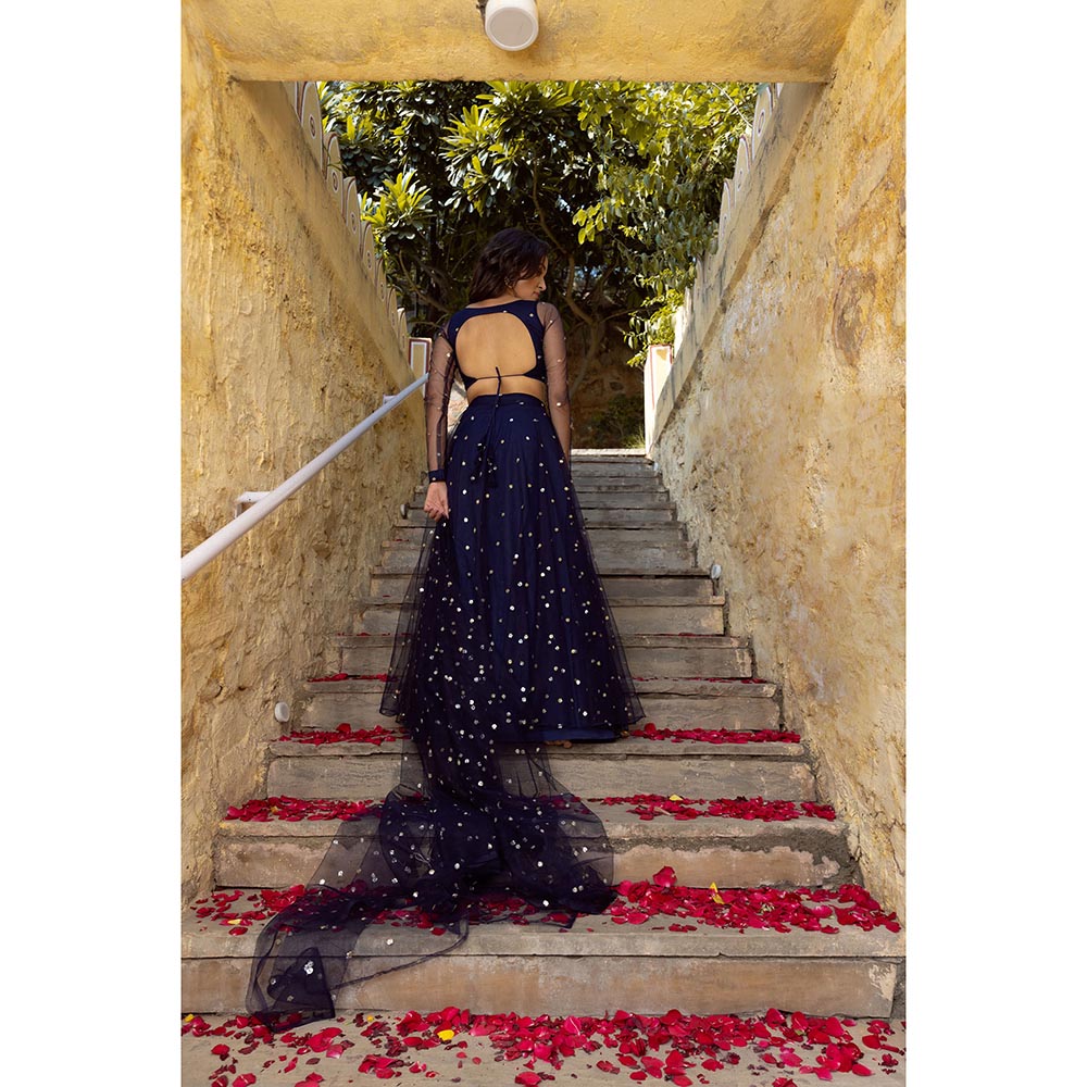 DEASHA INDIA Aaina Navy Blue Embroidered Net Lehenga with Blouse and Dupatta (Set of 3)