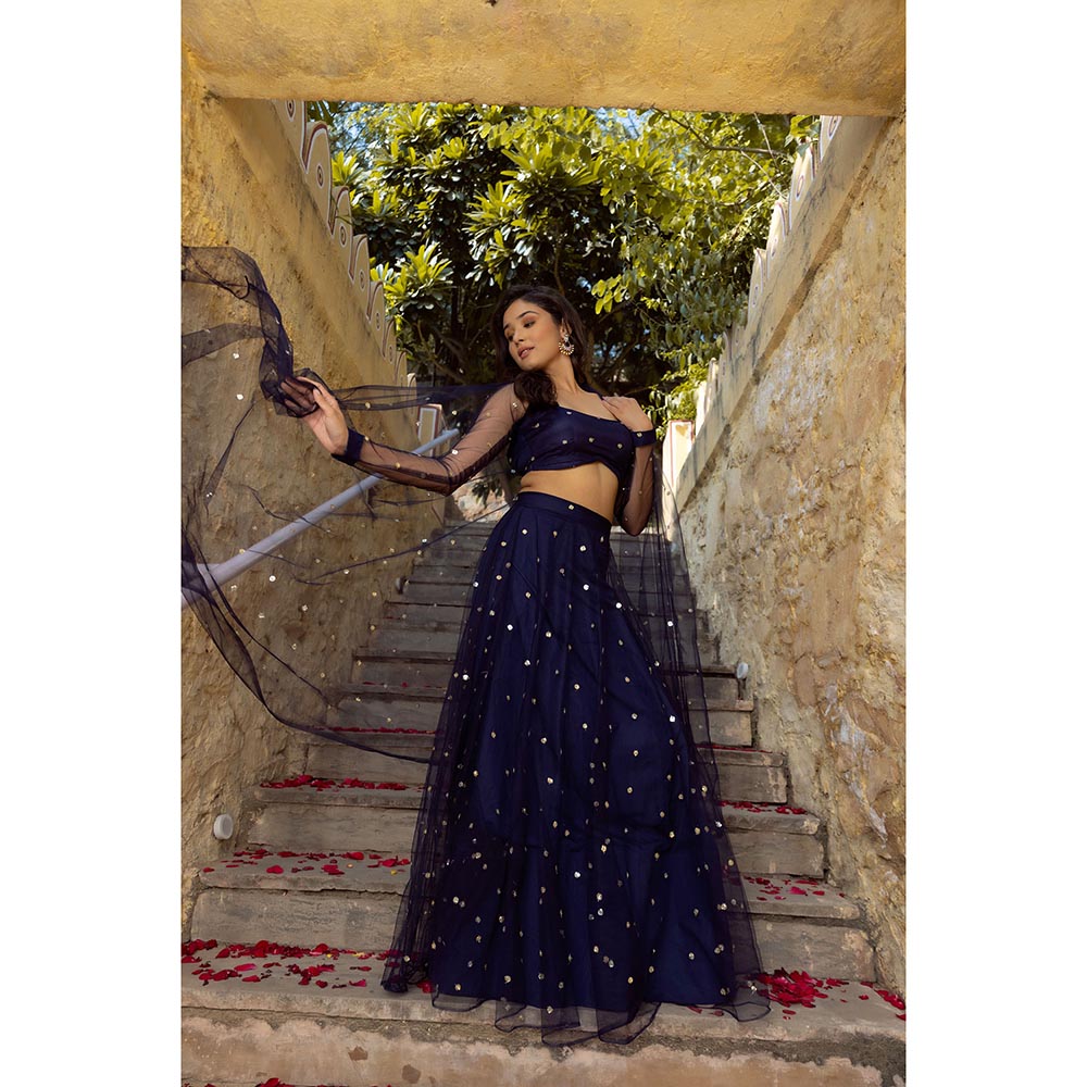 DEASHA INDIA Aaina Navy Blue Embroidered Net Lehenga with Blouse and Dupatta (Set of 3)