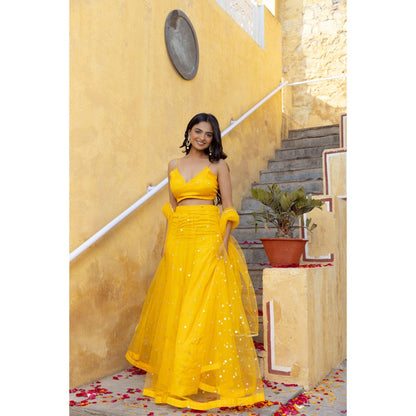 DEASHA INDIA Sahana Yellow Embroidered Net Lehenga with Blouse and Dupatta (Set of 3)