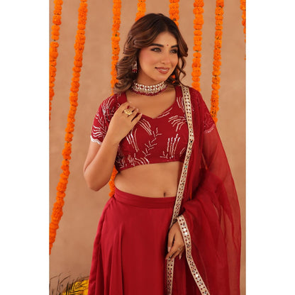 DEASHA INDIA Rasha Red Detailed Lehenga with Blouse and Dupatta