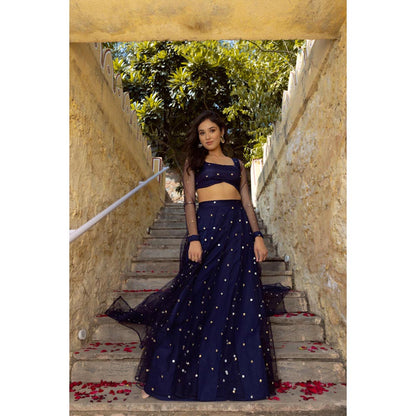 DEASHA INDIA Aaina Navy Blue Embroidered Net Lehenga