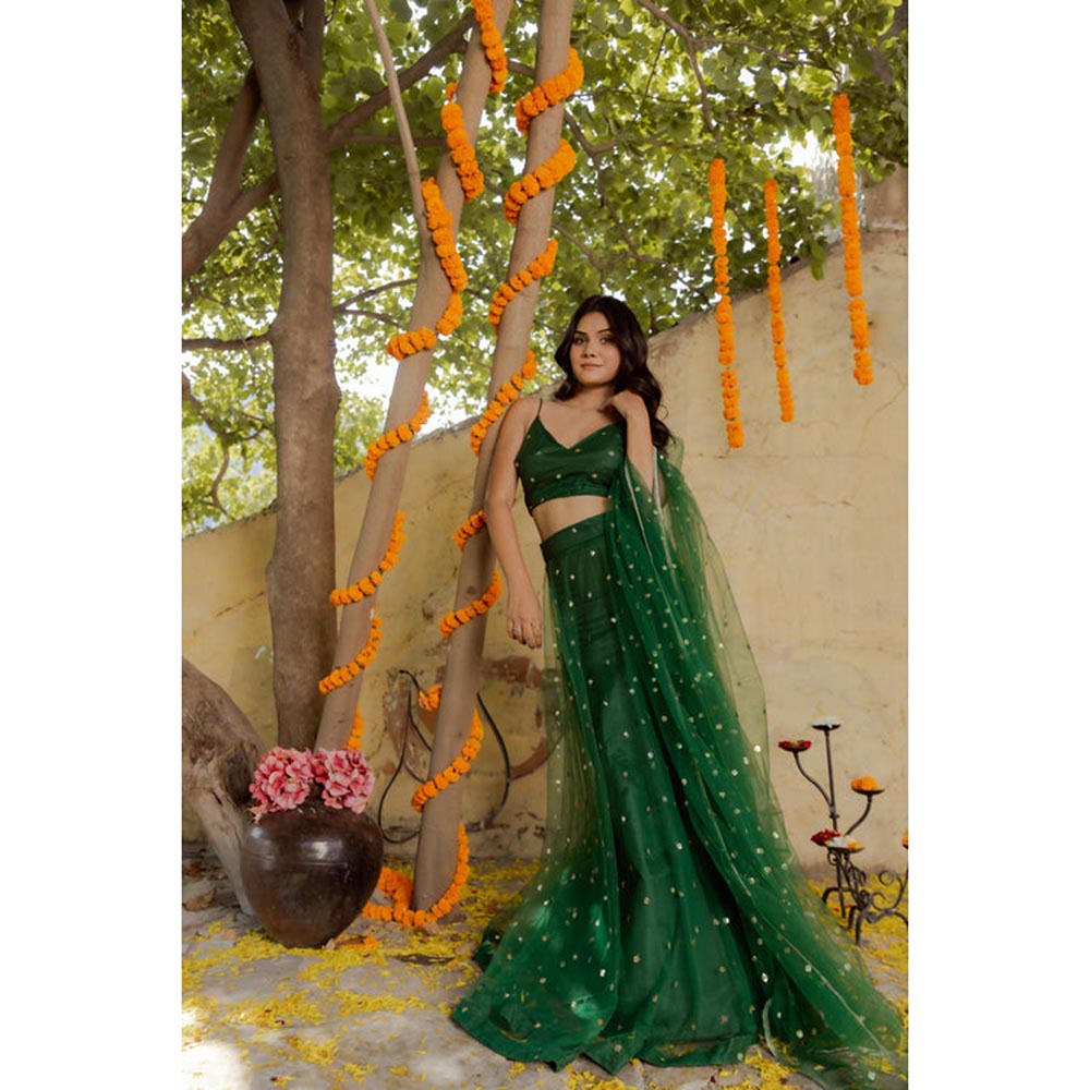 DEASHA INDIA Heena Green Net Embroidered Lehenga Set