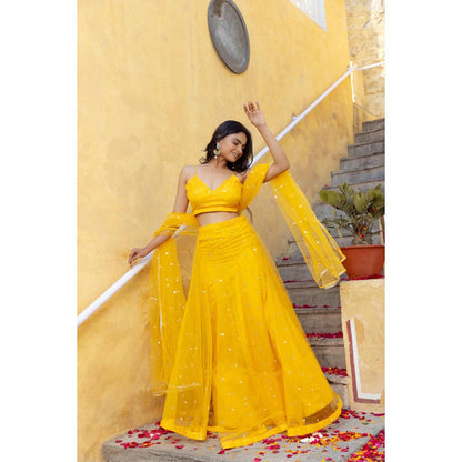 DEASHA INDIA Heena Green Net Embroidered Lehenga Set