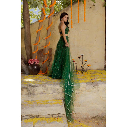 DEASHA INDIA Heena Green Net Embroidered Lehenga Set
