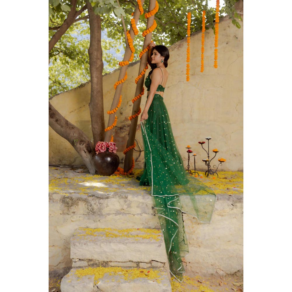 DEASHA INDIA Heena Green Net Embroidered Lehenga Set