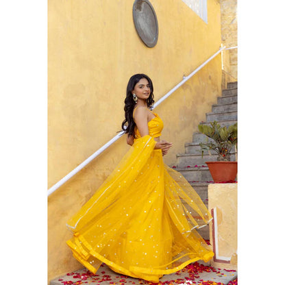 DEASHA INDIA Heena Green Net Embroidered Lehenga Set