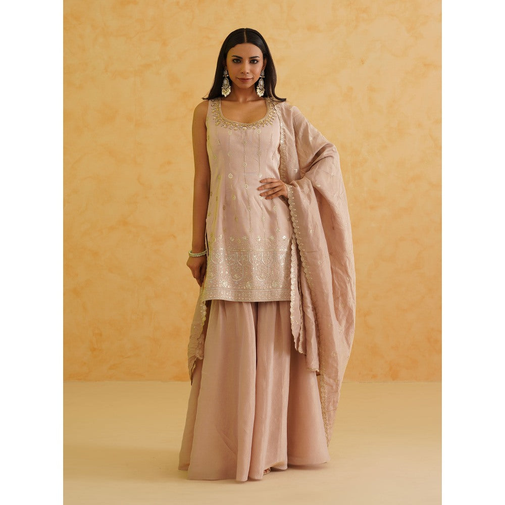 Deepika Chadha Blush Pink Georgette Tissue Sharara with Kurti and Dupatta (Set of 3)