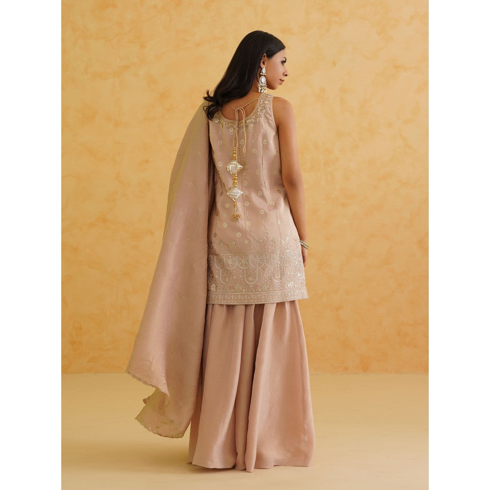 Deepika Chadha Blush Pink Georgette Tissue Sharara with Kurti and Dupatta (Set of 3)