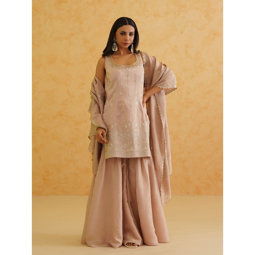 Deepika Chadha Blush Pink Georgette Tissue Sharara with Kurti and Dupatta (Set of 3)