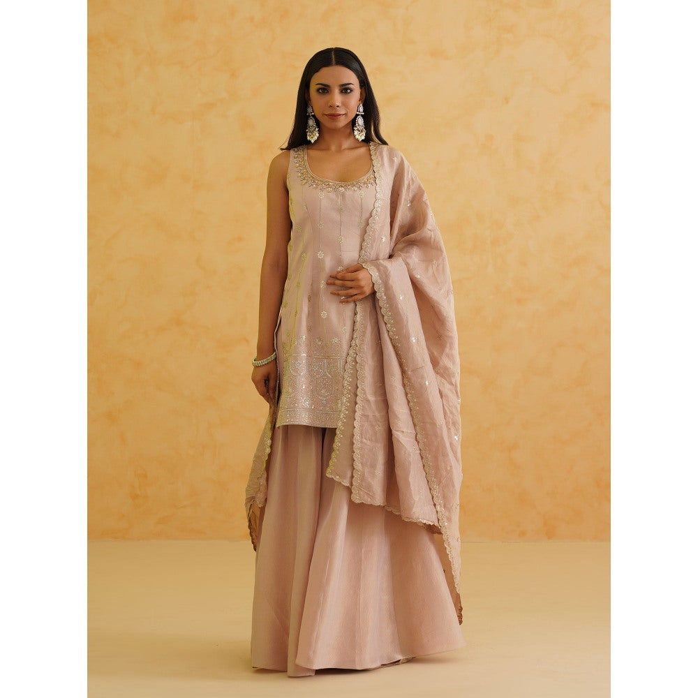 Deepika Chadha Blush Pink Georgette Tissue Sharara with Kurti and Dupatta (Set of 3)