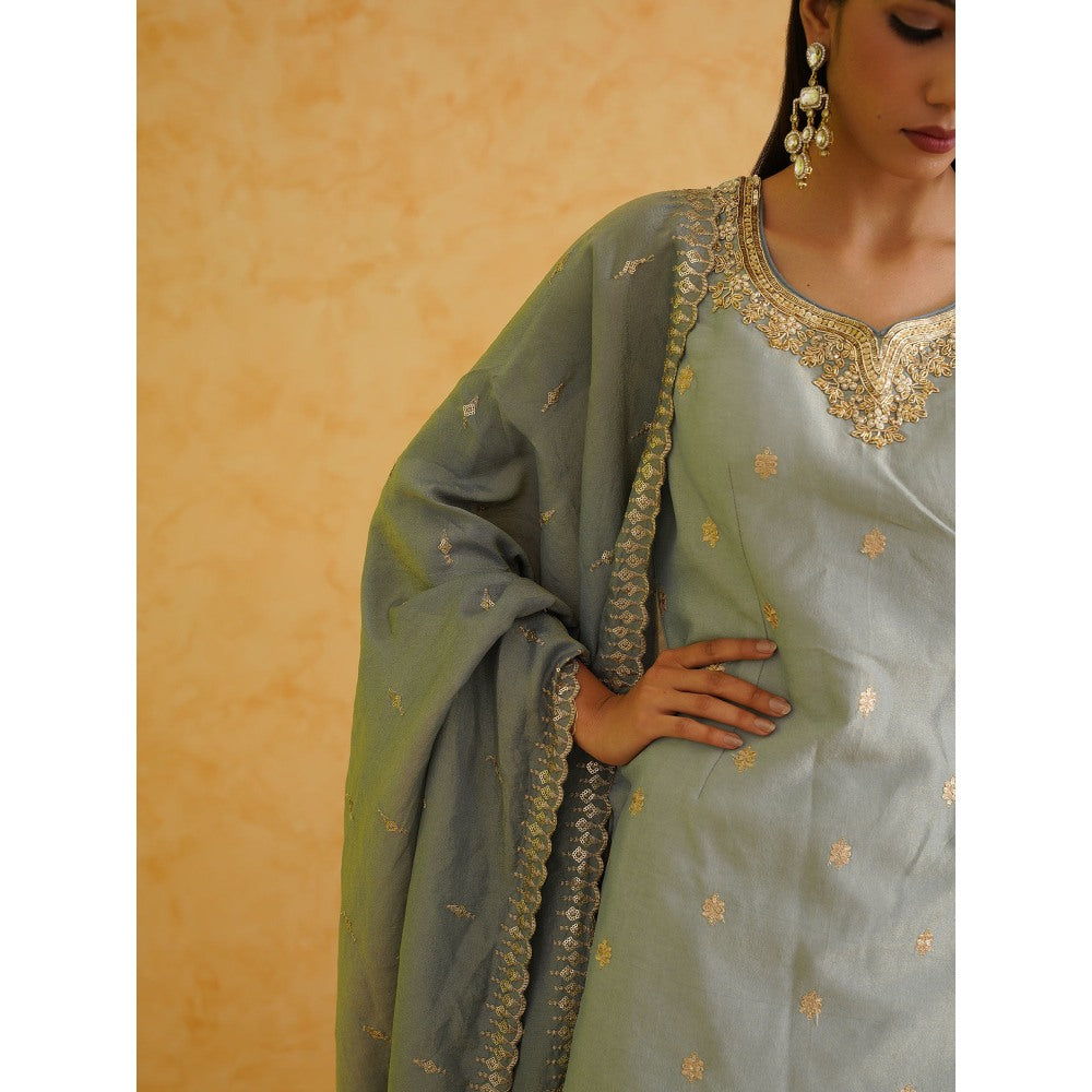 Deepika Chadha Grey Georgette Tissue Sharara with Kurti and Dupatta (Set of 3)