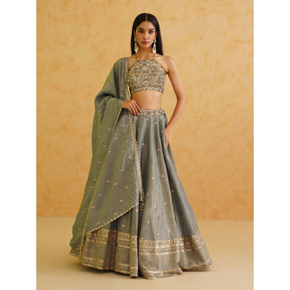 Deepika Chadha Grey Georgette Tissue Lehenga with Blouse and Dupatta (Set of 3)
