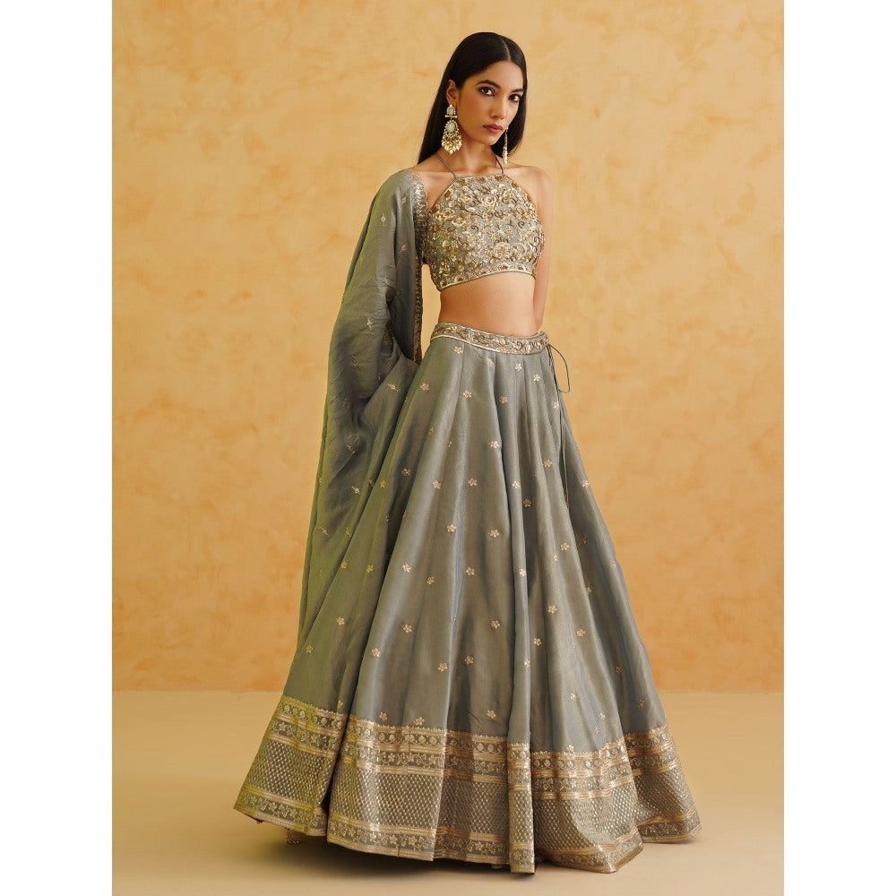 Deepika Chadha Grey Georgette Tissue Lehenga with Blouse and Dupatta (Set of 3)