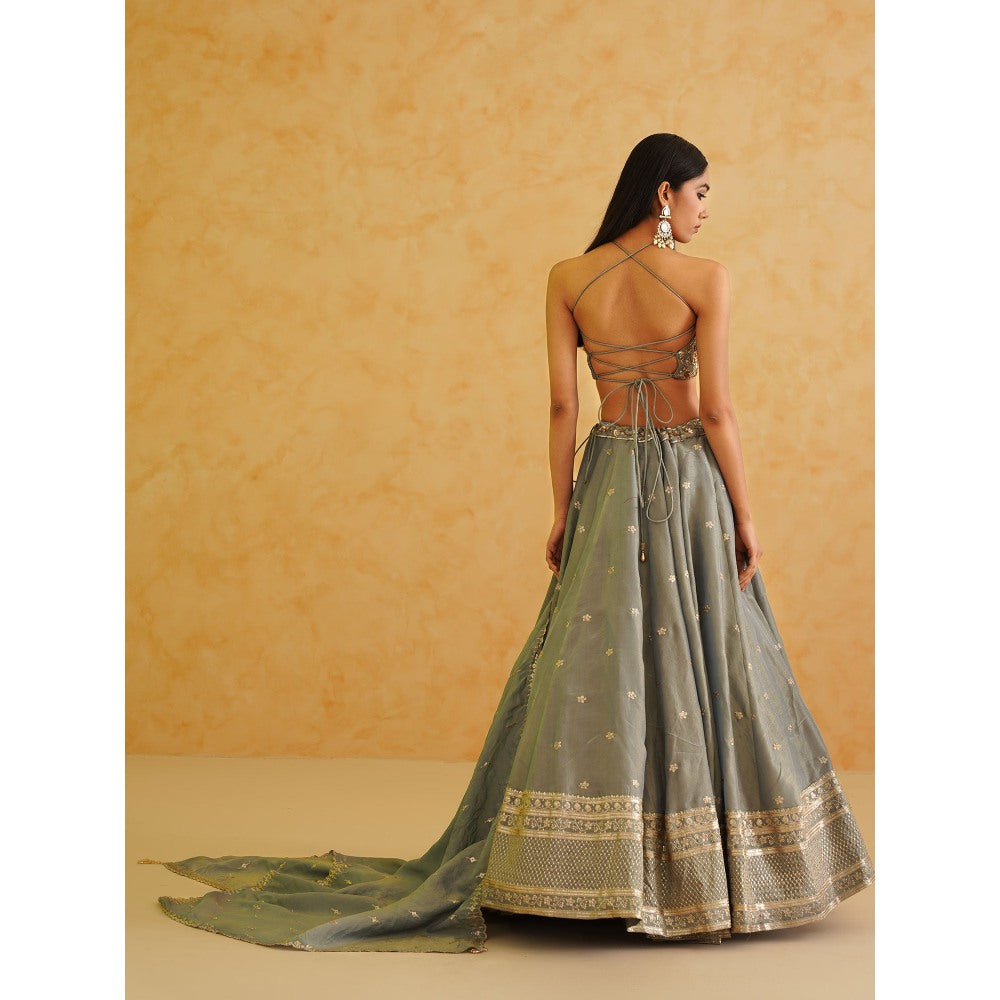 Deepika Chadha Grey Georgette Tissue Lehenga with Blouse and Dupatta (Set of 3)