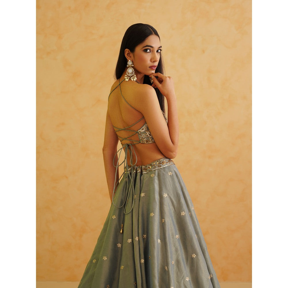 Deepika Chadha Grey Georgette Tissue Lehenga with Blouse and Dupatta (Set of 3)