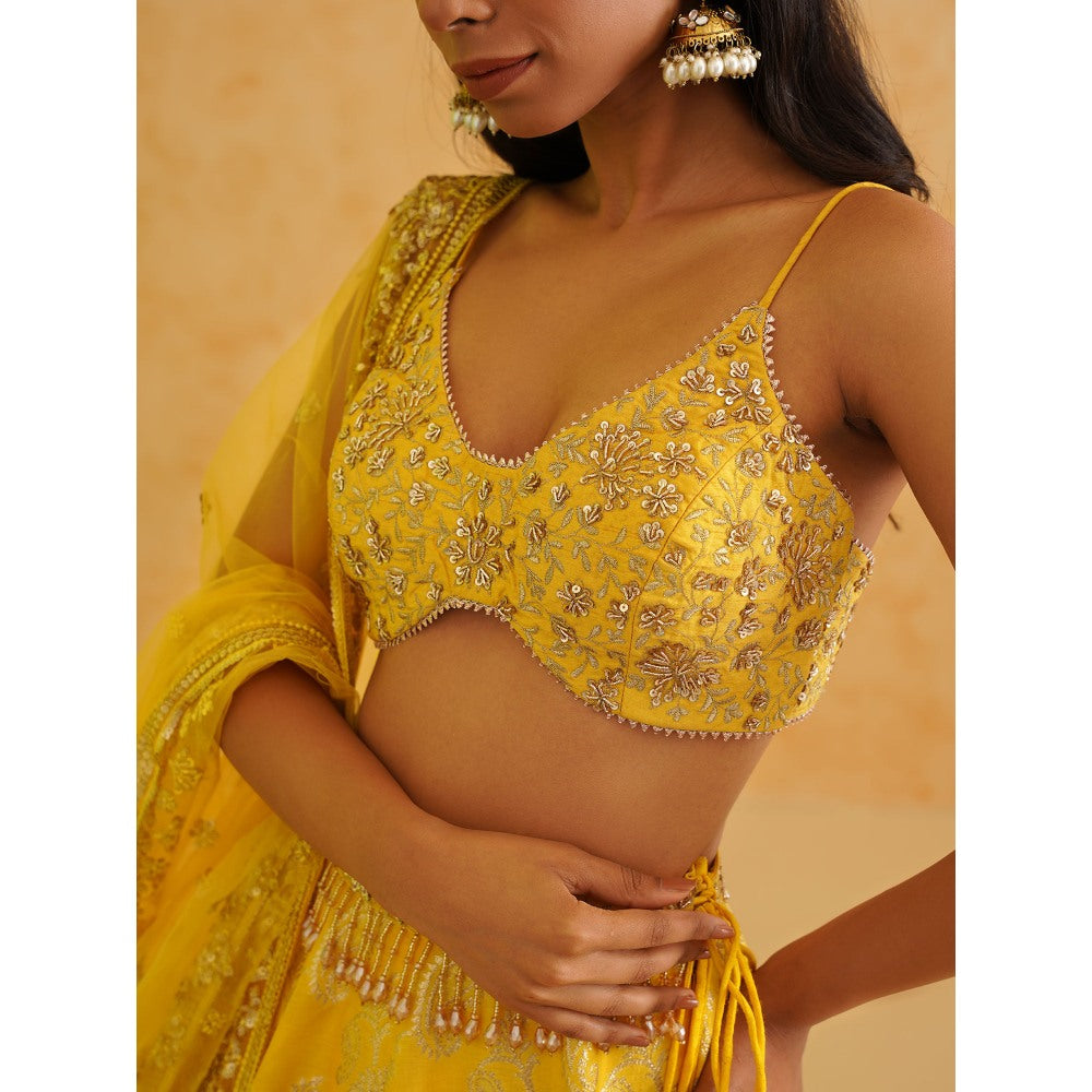 Deepika Chadha Yellow Brocade Lehenga with Blouse and Dupatta (Set of 3)