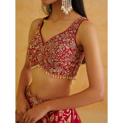 Deepika Chadha Pink Brocade Lehenga with Blouse and Dupatta (Set of 3)