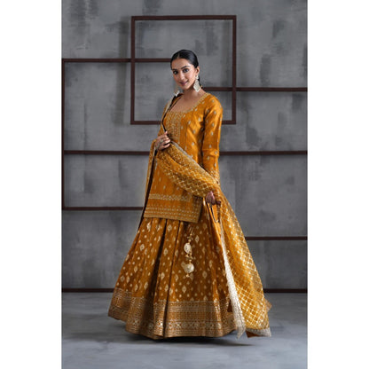 Deepika Chadha Mustard Embroidered Kurti with Lehenga and Dupatta (Set of 3)