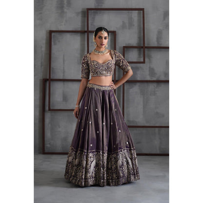 Deepika Chadha Purple Tissue Embroidered Blouse with Lehenga and Dupatta (Set of 3)