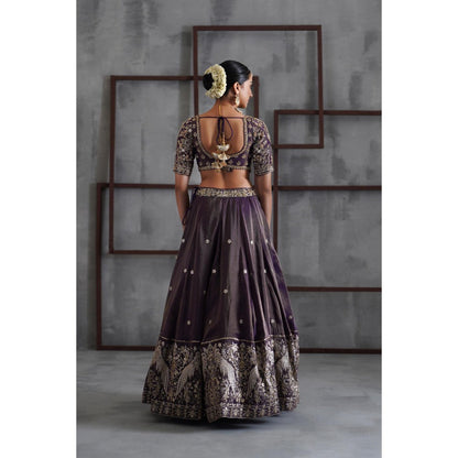 Deepika Chadha Purple Tissue Embroidered Blouse with Lehenga and Dupatta (Set of 3)