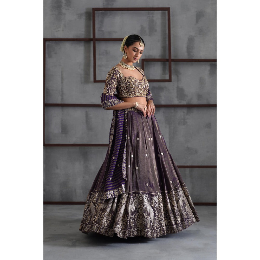 Deepika Chadha Purple Tissue Embroidered Blouse with Lehenga and Dupatta (Set of 3)