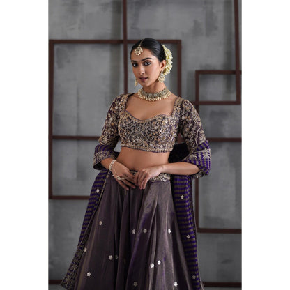 Deepika Chadha Purple Tissue Embroidered Blouse with Lehenga and Dupatta (Set of 3)