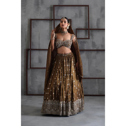 Deepika Chadha Brown Embroidered Blouse with Lehenga and Dupatta (Set of 3)