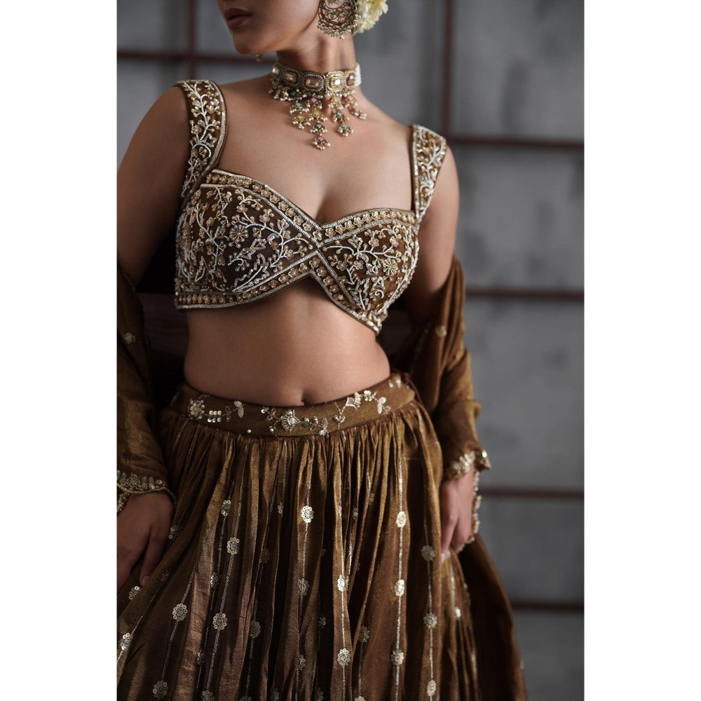 Deepika Chadha Brown Embroidered Blouse with Lehenga and Dupatta (Set of 3)