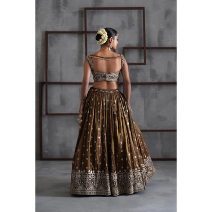 Deepika Chadha Brown Embroidered Blouse with Lehenga and Dupatta (Set of 3)
