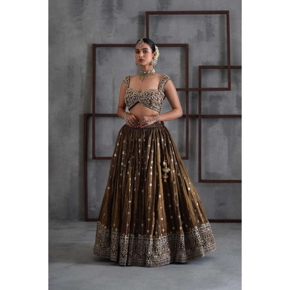 Deepika Chadha Brown Embroidered Blouse with Lehenga and Dupatta (Set of 3)
