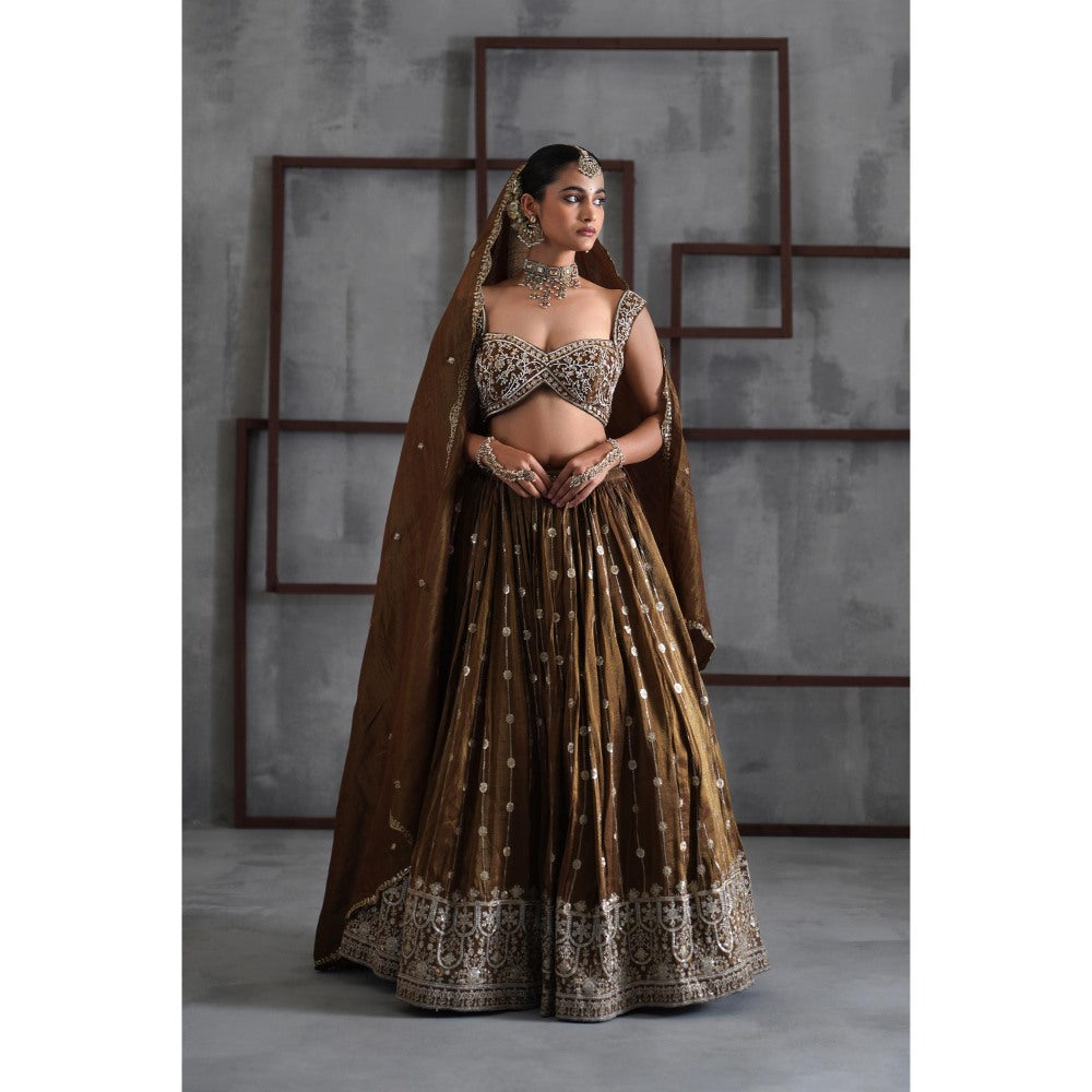 Deepika Chadha Brown Embroidered Blouse with Lehenga and Dupatta (Set of 3)