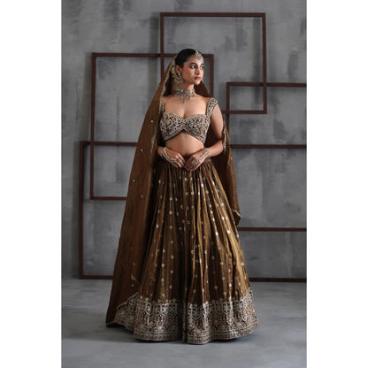 Deepika Chadha Brown Embroidered Blouse with Lehenga and Dupatta (Set of 3)