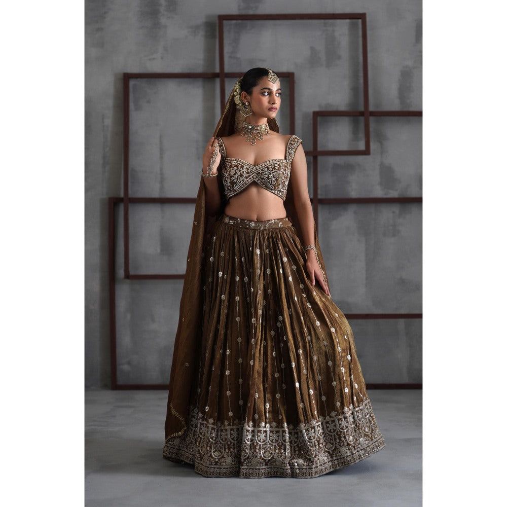Deepika Chadha Brown Embroidered Blouse with Lehenga and Dupatta (Set of 3)