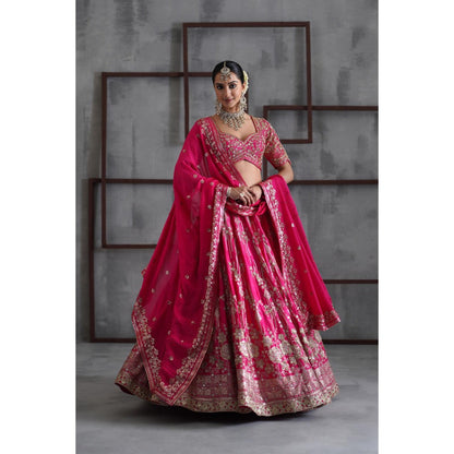 Deepika Chadha Pink Embroidered Blouse with Lehenga and Dupatta (Set of 3)