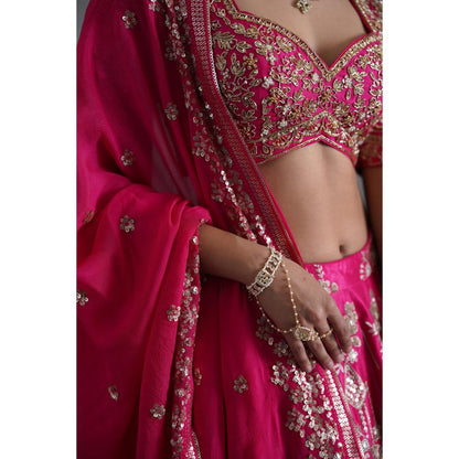 Deepika Chadha Pink Embroidered Blouse with Lehenga and Dupatta (Set of 3)
