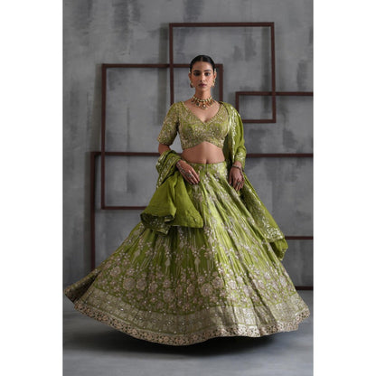 Deepika Chadha Green Embroidered Blouse with Lehenga and Dupatta (Set of 3)