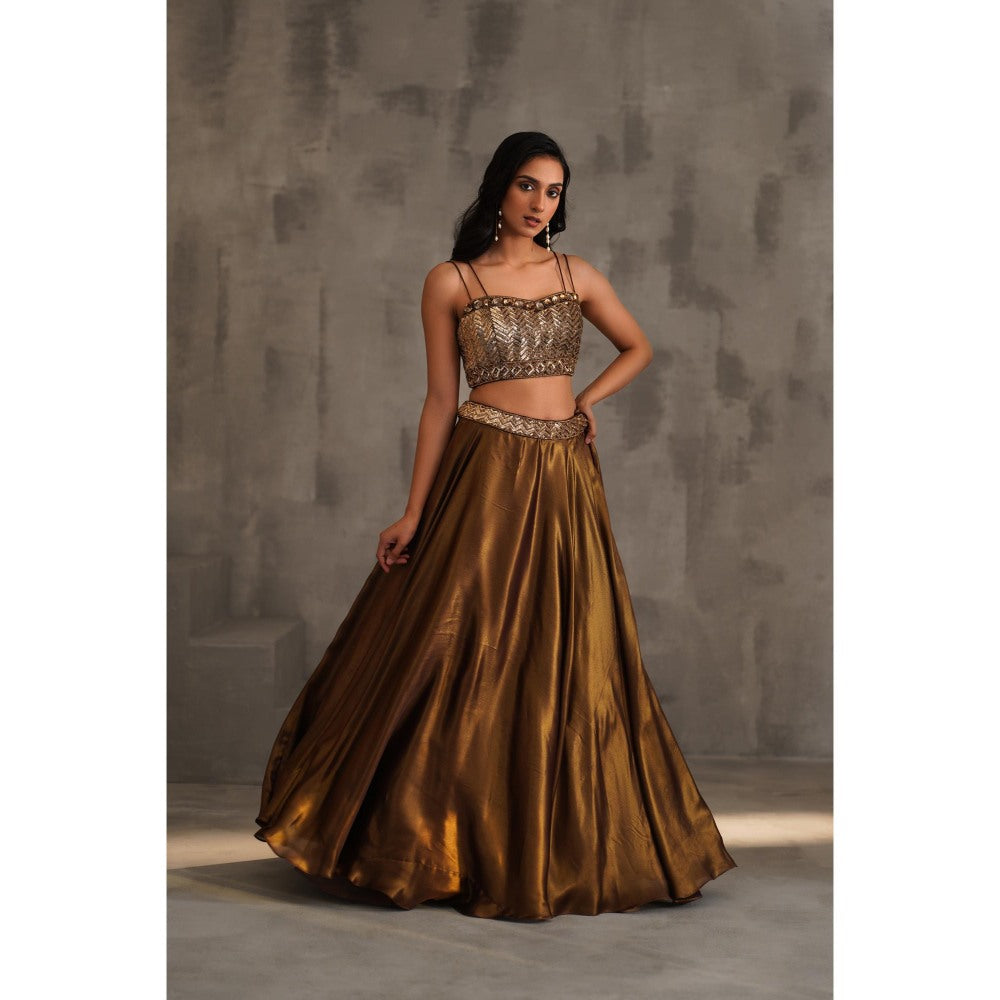 Deepika Chadha Brown Embroidered Drape Attached Blouse and Lehenga (Set of 2)