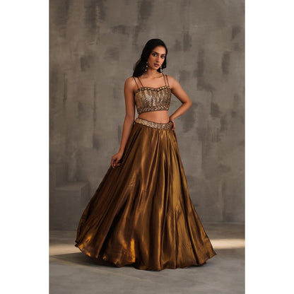 Deepika Chadha Brown Embroidered Drape Attached Blouse and Lehenga (Set of 2)