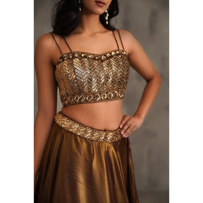 Deepika Chadha Brown Embroidered Drape Attached Blouse and Lehenga (Set of 2)